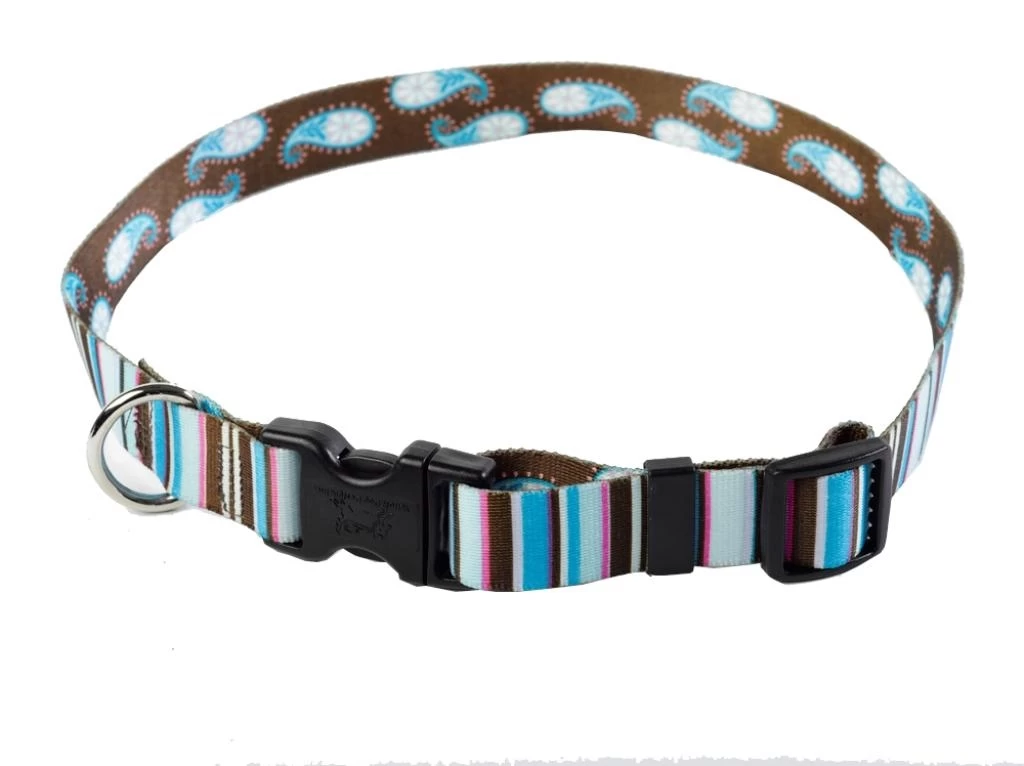 Brown Stripes With Paisley Collar