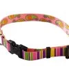 Pink Stripes With Paisley Collar -Pet Supplies Sale main 468 1 1