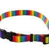 Rainbow Stripe Collar