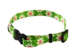 Green Daisy Collar