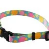 Circles Collar -Pet Supplies Sale main 484 1