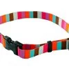 Multi Stripe Collar
