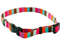 Multi Stripe Collar