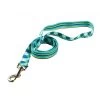 Blue/Green Stripes With Argyle Lead -Pet Supplies Sale main 511 1