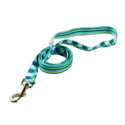 Blue/Green Stripes With Argyle Lead