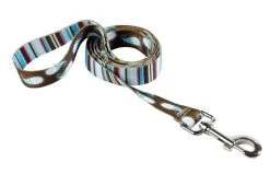 Brown Stripes With Paisley Lead