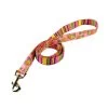 Pink Stripes With Paisley Lead -Pet Supplies Sale main 517 1