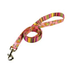 Pink Stripes With Paisley Lead