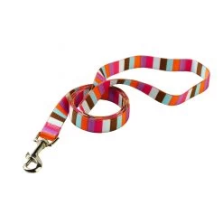 Multi Stripe Lead