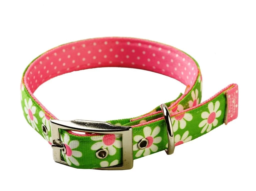 Uptown Green Daisy On Pink Polka Collar 3 Uptown Green Daisy On Pink Polka Collar