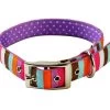 Uptown Multi Stripe On Purple Polka Collar -Pet Supplies Sale main 552 1