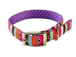 Uptown Multi Stripe On Purple Polka Collar