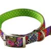 Uptown Crazy Hearts On Green Polka Collar -Pet Supplies Sale main 555 1