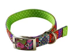 Uptown Crazy Hearts On Green Polka Collar
