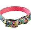 Uptown Flower Power On Pink Polka Collar -Pet Supplies Sale main 558 1