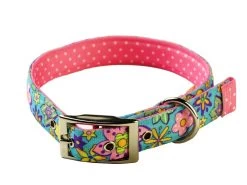 Uptown Flower Power On Pink Polka Collar