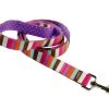 Uptown Multi Stripe On Purple Polka Lead 1 Uptown Multi Stripe On Purple Polka Lead -Pet Supplies Sale main 568 1