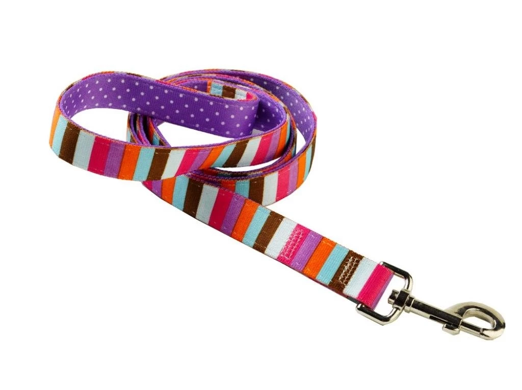 Uptown Multi Stripe On Purple Polka Lead 3 Uptown Multi Stripe On Purple Polka Lead