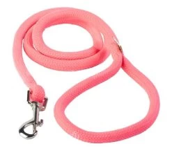 Pink Braided Lead 3/4" Wide X 48" Long