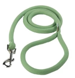 Green Braided Lead 3/4" Wide X 48" Long