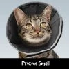 ProCone Recovery Cone SML -Pet Supplies Sale main 697