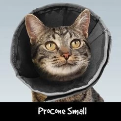 ProCone Recovery Cone SML