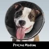 ProCone Recovery Cone MED -Pet Supplies Sale main 698