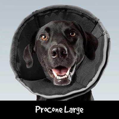 ProCone Recovery Cone LRG 2 ProCone Recovery Cone LRG
