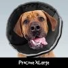 ProCone Recovery Cone XLRG 1 ProCone Recovery Cone XLRG -Pet Supplies Sale main 700