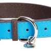 DO&G Leather Collar Light Blue -Pet Supplies Sale main 715 1 1