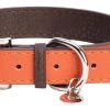 DO&G Leather Collar Orange -Pet Supplies Sale main 720 1 1