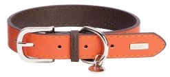 DO&G Leather Collar Orange - Puppies