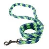 Fluoresent Green & Blue Braided Lead 3/4" Wide X 48" Long -Pet Supplies Sale main 729