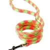 Fluorescent Green & Pink Braided Lead 3/4" Wide X 48" Long -Pet Supplies Sale main 730
