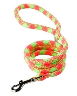 Fluorescent Green & Pink Braided Lead 3/4" Wide X 48" Long