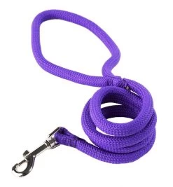 Purple Braided Lead 3/4" Wide X 48" Long