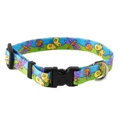Butterflies Collar