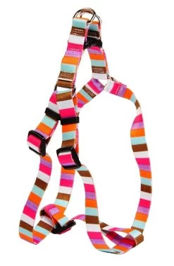 Multi Stripe Step In Harness