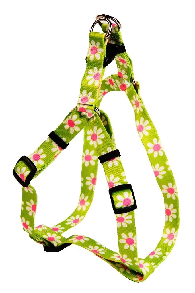 Green Daisy Step In Harness