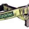 Apple Green Retro Flowers Anti Bacterial No Stink Collar -Pet Supplies Sale main 856